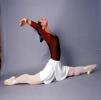 舞蹈学欧宝体育官方网站
