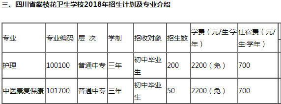 四川省攀枝花卫生校 四川省攀枝花卫生校