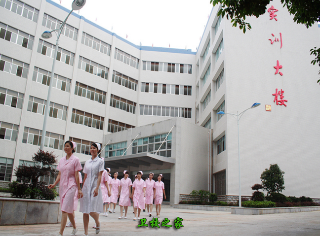 长沙卫生职业学院毕业生就业率怎么样_有没有与国际合作