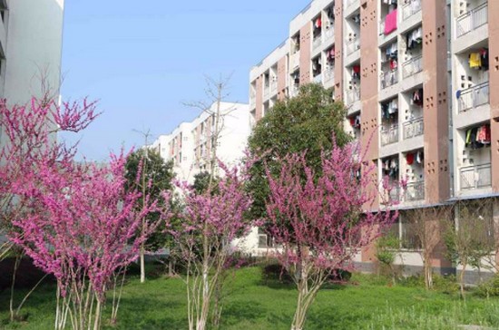 皖西卫生职业学院招生录取分数线