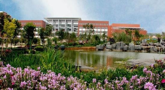 云南经济管理学院康复护理学院招生录取分数线