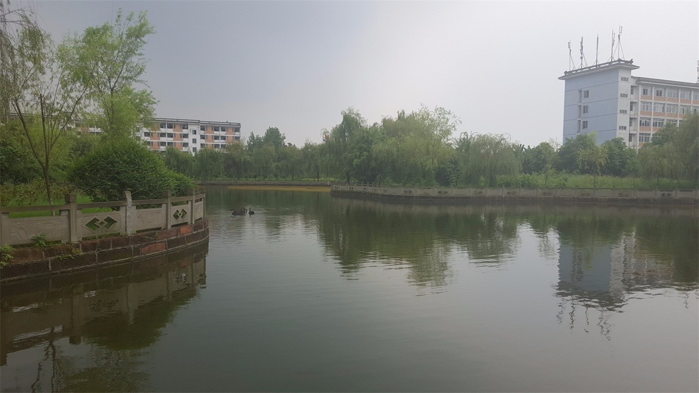 成都市信息技术学校招生录取分数线