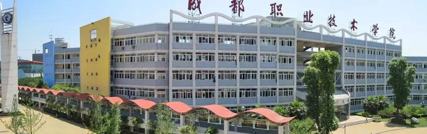 成都市职业技术学院医护分院有哪些专业及什么专业好