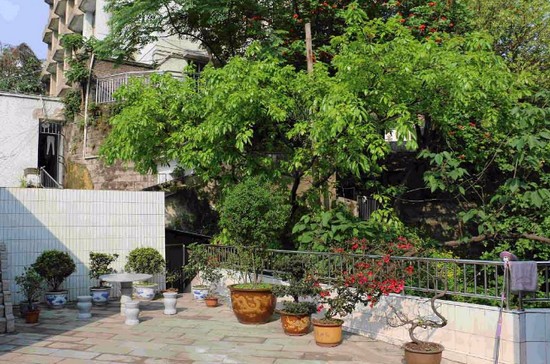 重庆市医药经贸卫生学校招生简介及招生计划要求