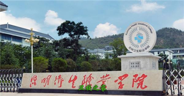 昆明卫生职业学院的师资力量